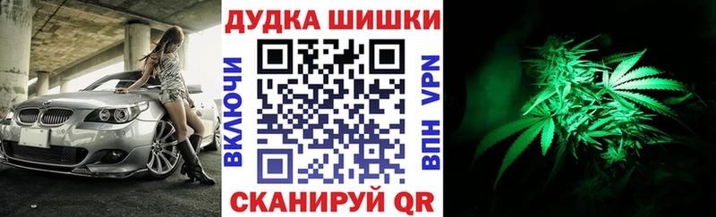 Купить закладки  Подпорожье  Марихуана план 